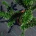 Araukária andská (Araucaria araucana)  ´IMBRICATA´- výška 40-60 cm; kont. C10L (-15°C)